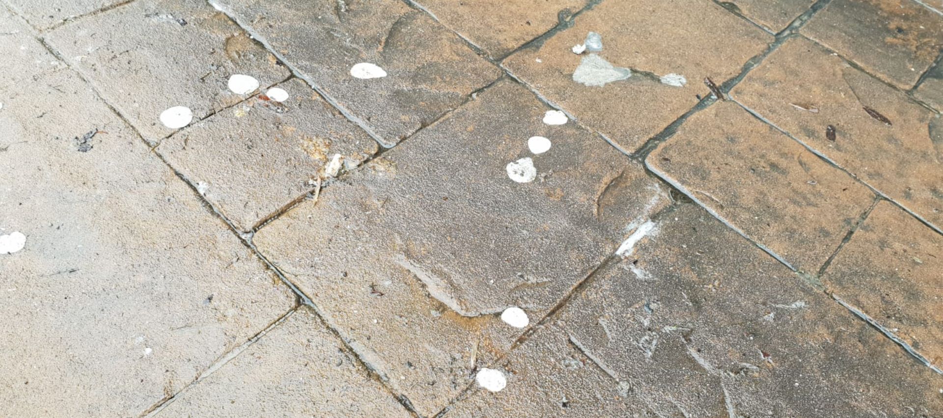 Chewing Gum Removal Chester